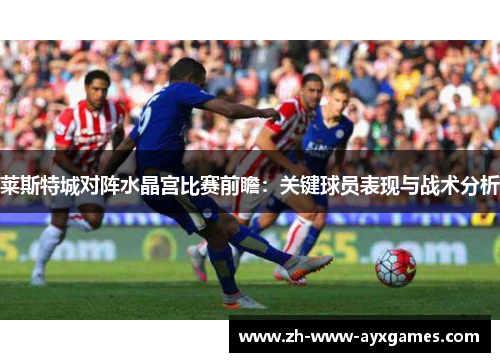 莱斯特城对阵水晶宫比赛前瞻：关键球员表现与战术分析