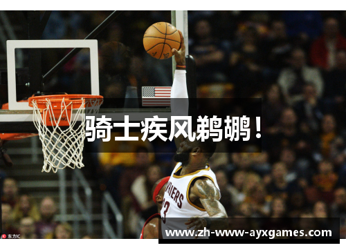 骑士疾风鹈鹕！